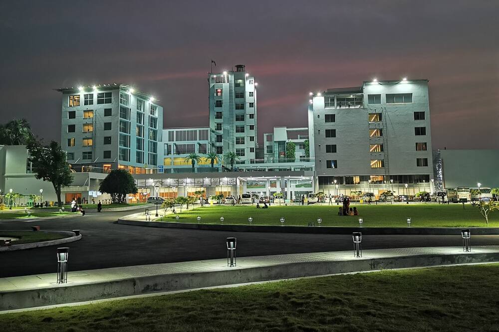 モモ イン 写真