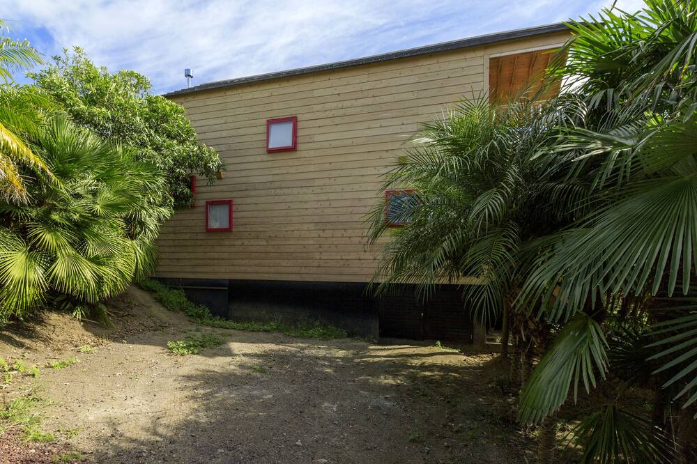 アズール シングラー 写真