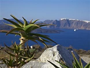 カレステシア スイーツ 写真