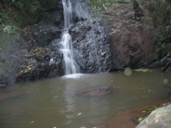 クラウズ メープルトン 写真