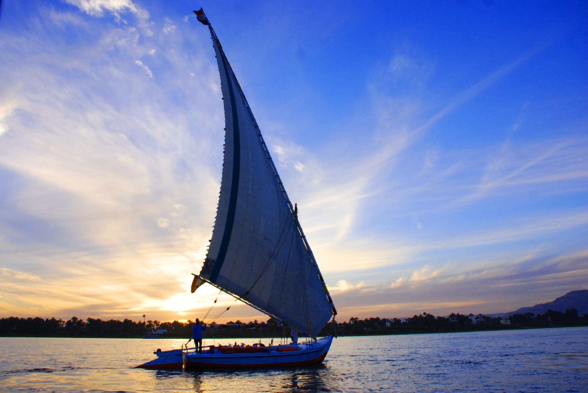 スタイジェンバーガー ナイル パレス 写真