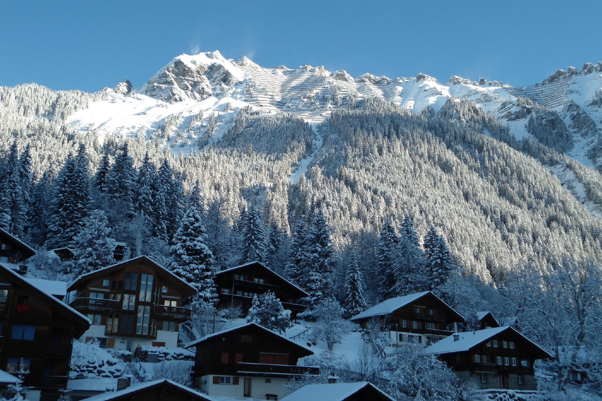 Hotel Belvedere 写真