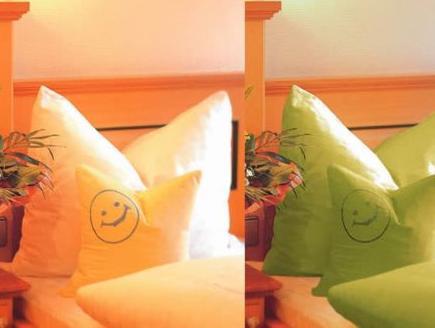 ホテル アルピナ 写真