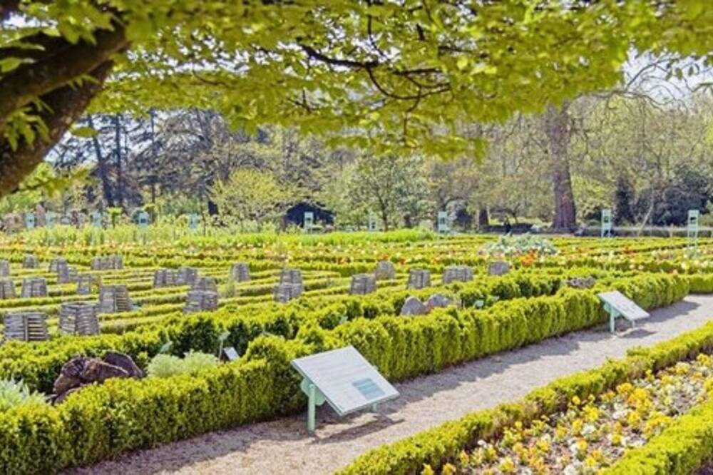 ホテル イン デザイン ディジョン 写真