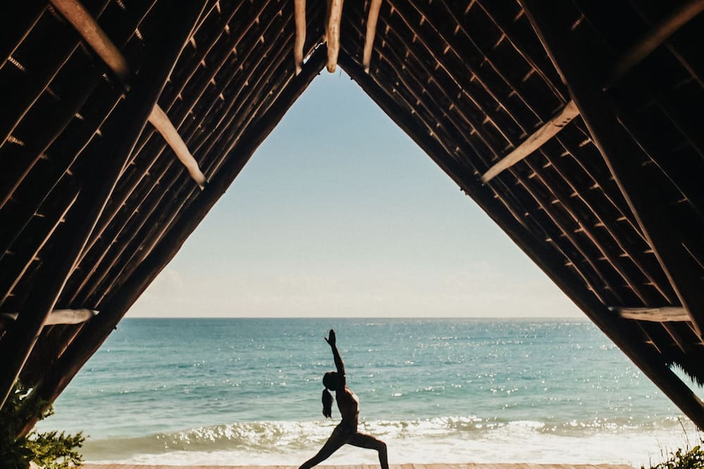 パパヤ プラヤ プロジェクト 写真