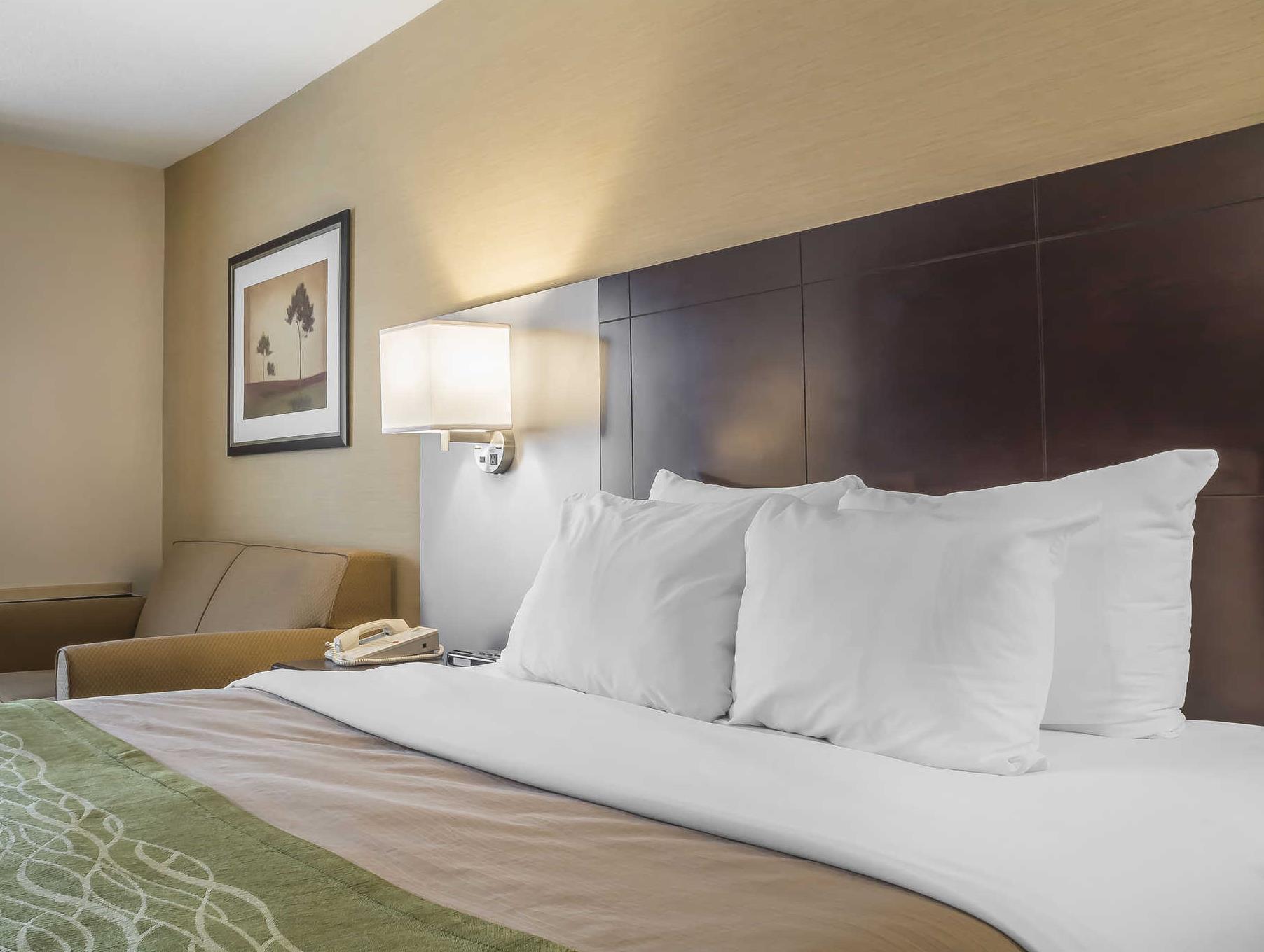 コンフォート イン チャタム 写真