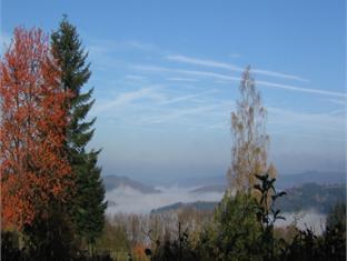 オーベルジュ ル ルレ 写真