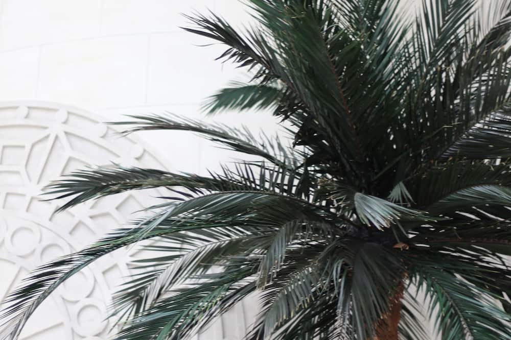 ザ ウォルドーフ ヒルトン ロンドン 写真