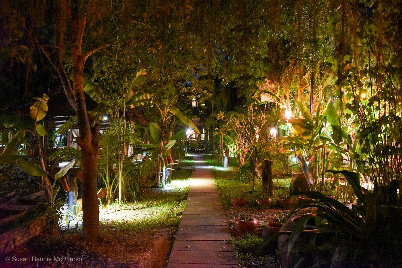 メイソンズ ワット コ 写真