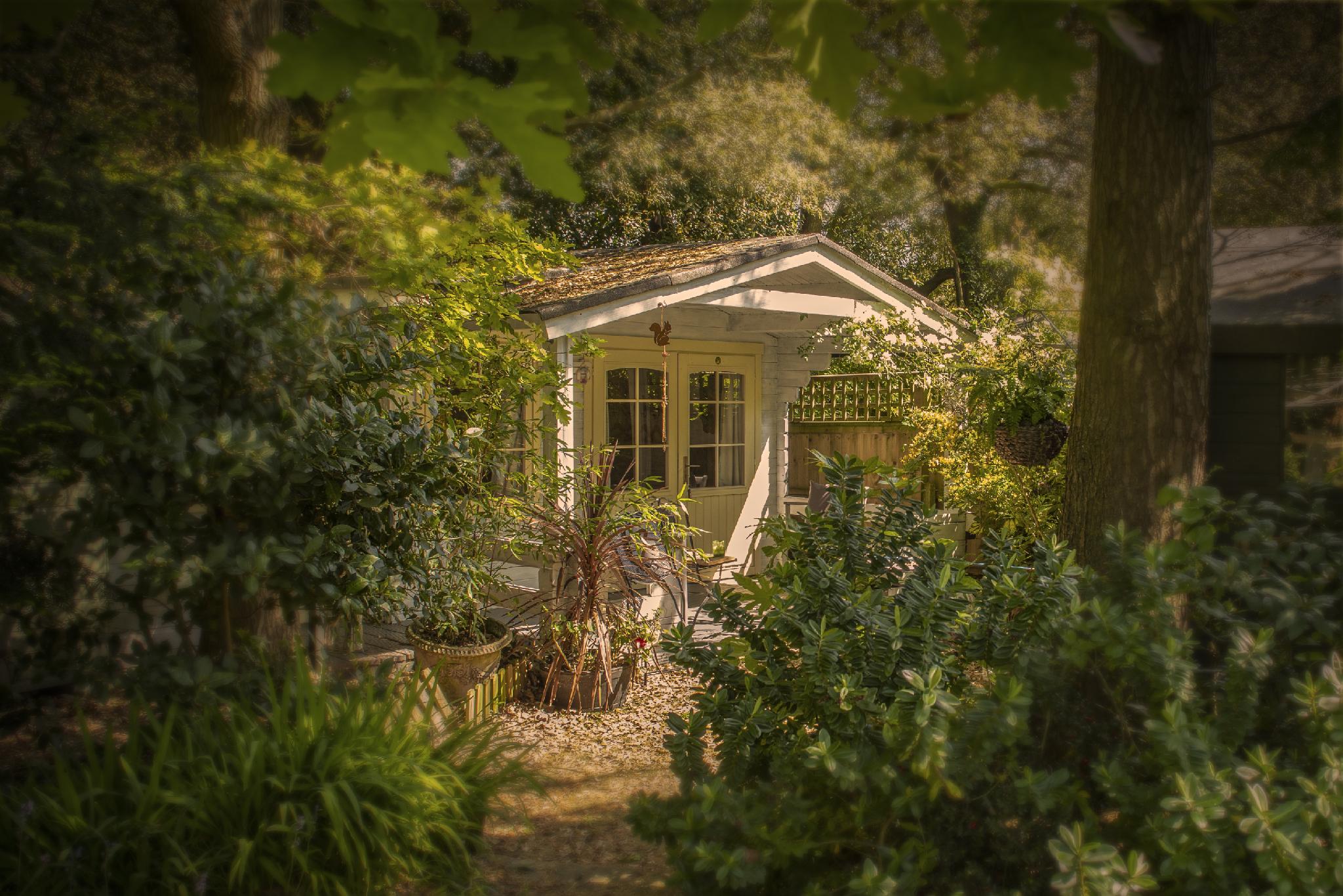 24 Ward Avenue 写真