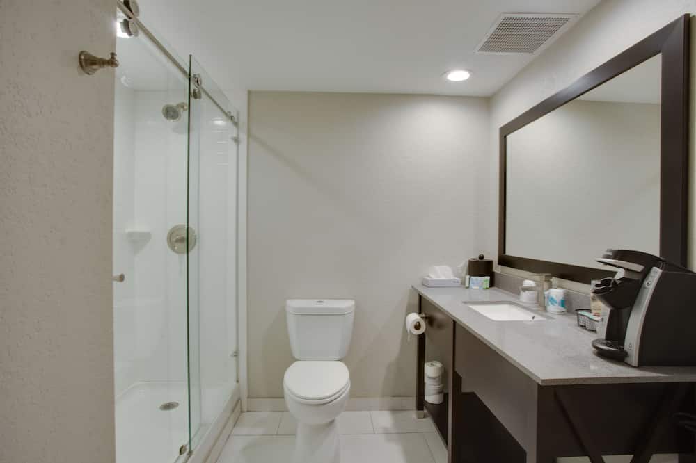 The Hotel Hot Springs 写真