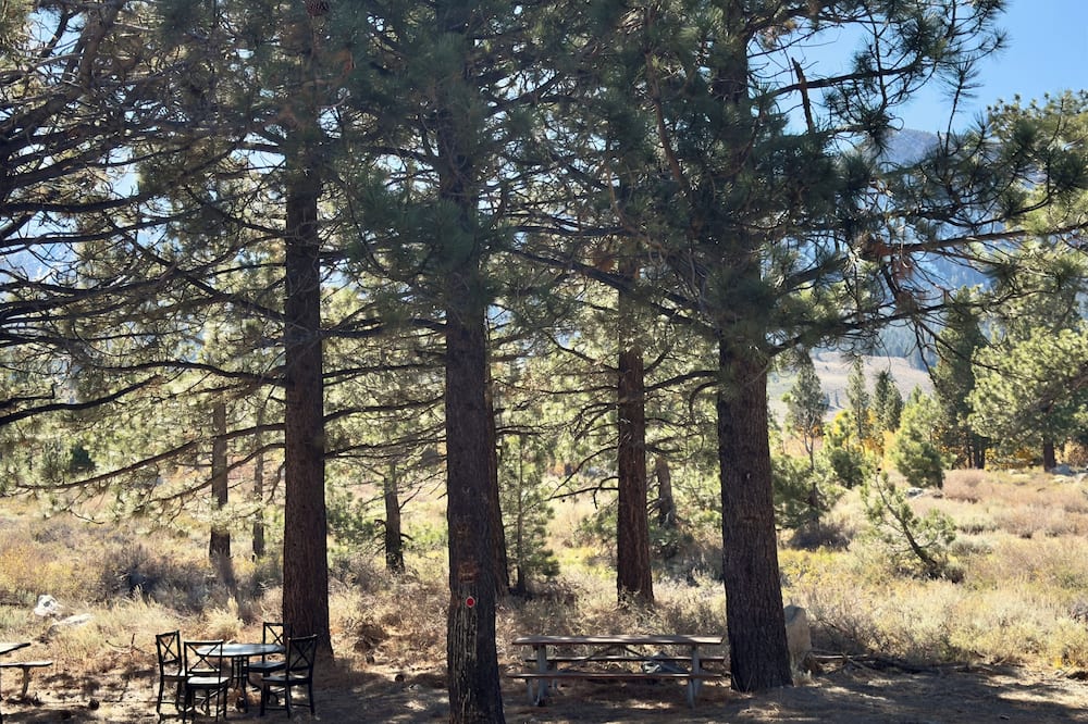 ザ マンモス クリーク イン 写真