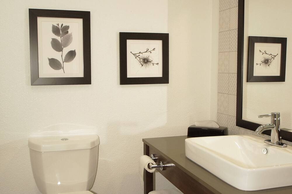 カントリー イン & スイーツ バイ ラディソン グリーンフィールド インディアナポリス 写真