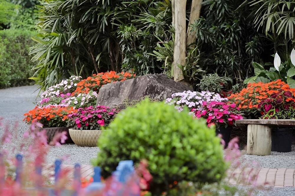 Blue Tree Towers Joinville 写真