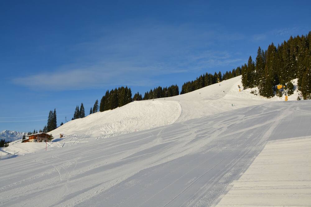 アルパイン プレミアム シャレー ヴァレックロッジ 写真