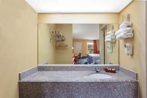 シェルビー イン 写真