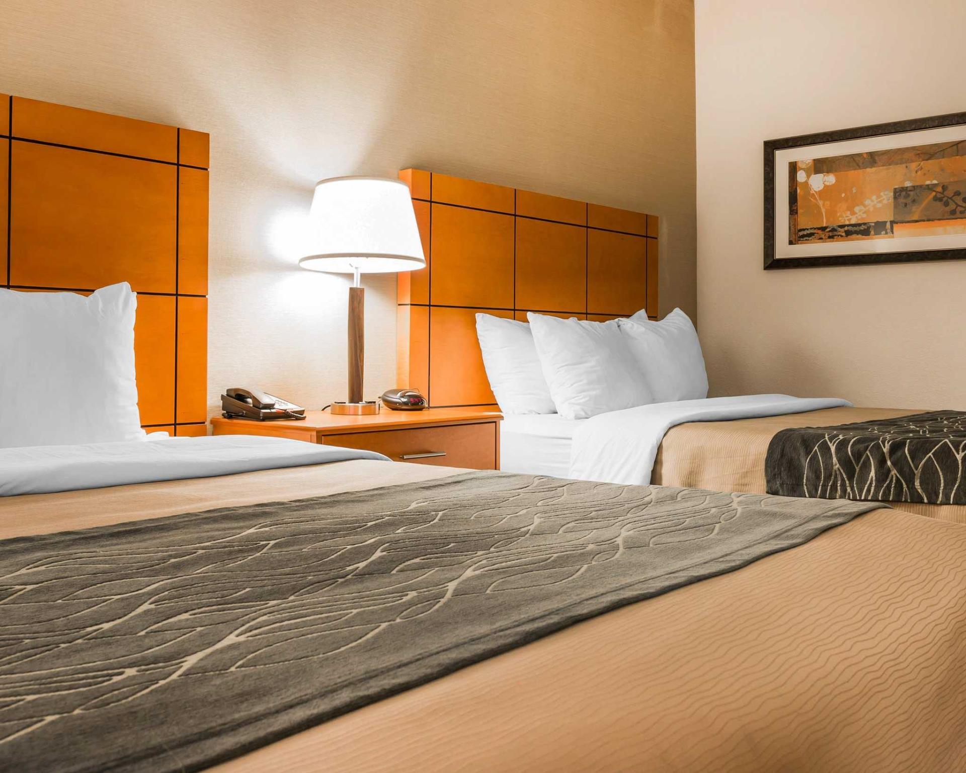 コンフォート イン メトロ エアポート 写真