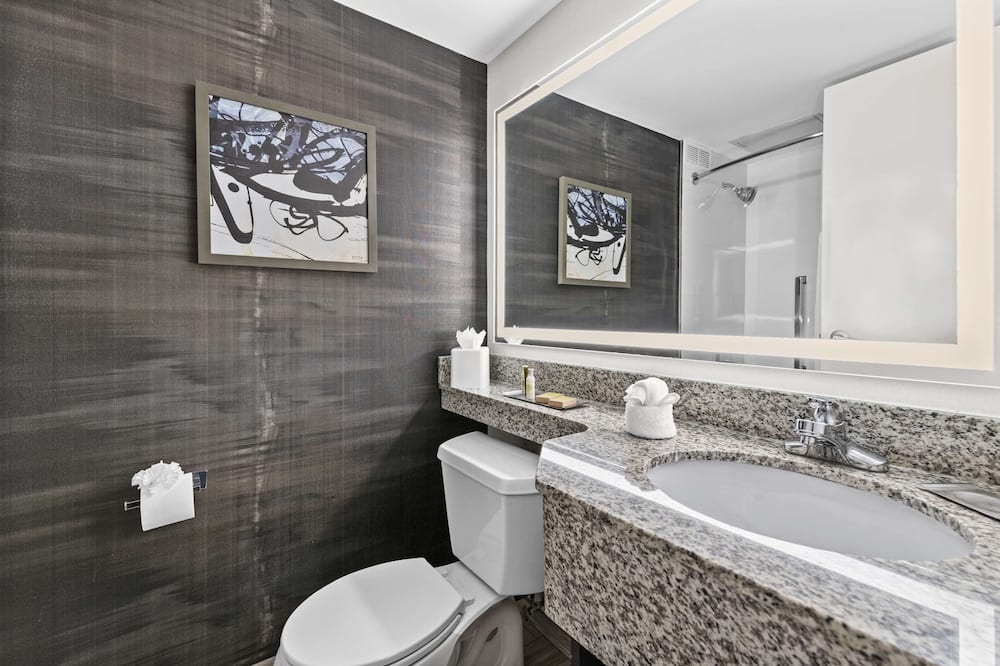 Raleigh North 写真