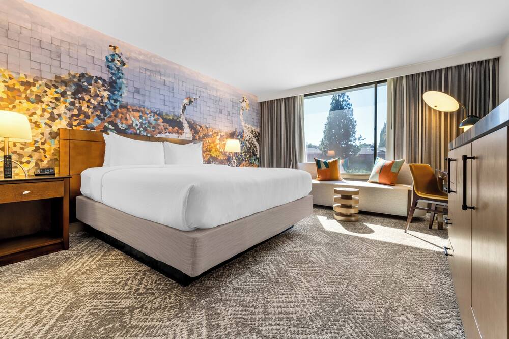 voco Laguna Hills by IHG 写真