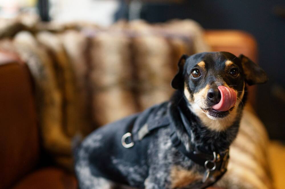 ホテル クラリシー 写真