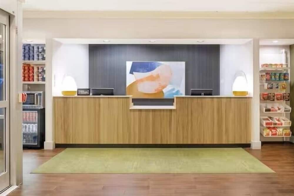 スパーク バイ ヒルトン コダック 写真