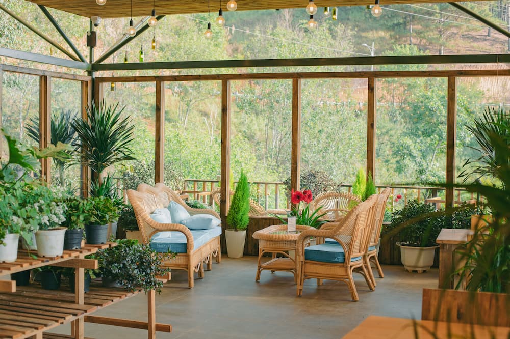 ラベンダーダラット 写真