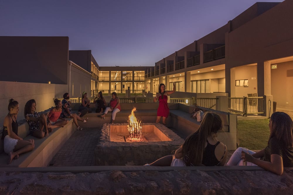 スプリングボック イン 写真