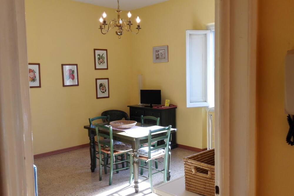 テル ダリ 写真