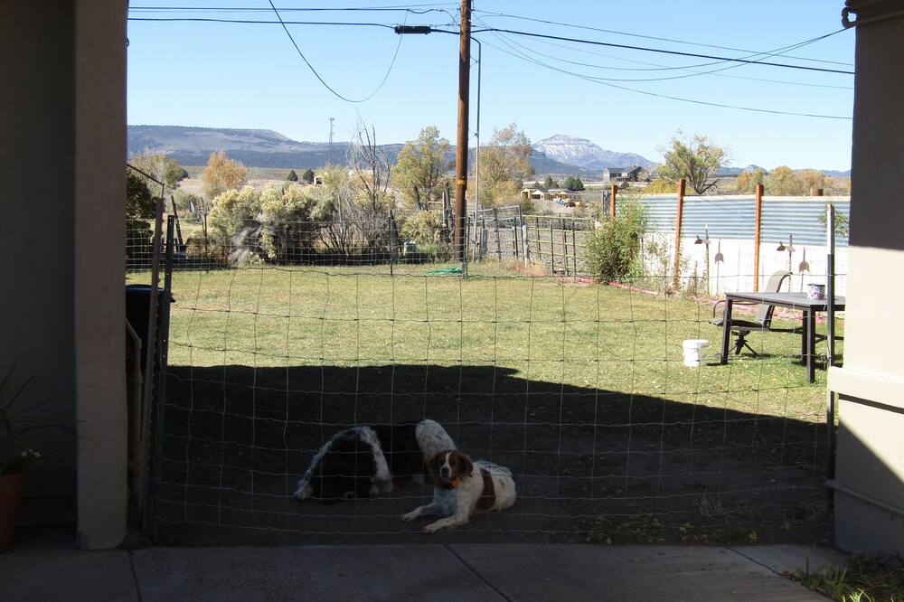 ランプライター ロッジ 写真