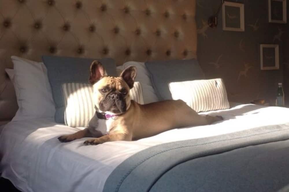 ザ オールド シップ ホテル 写真