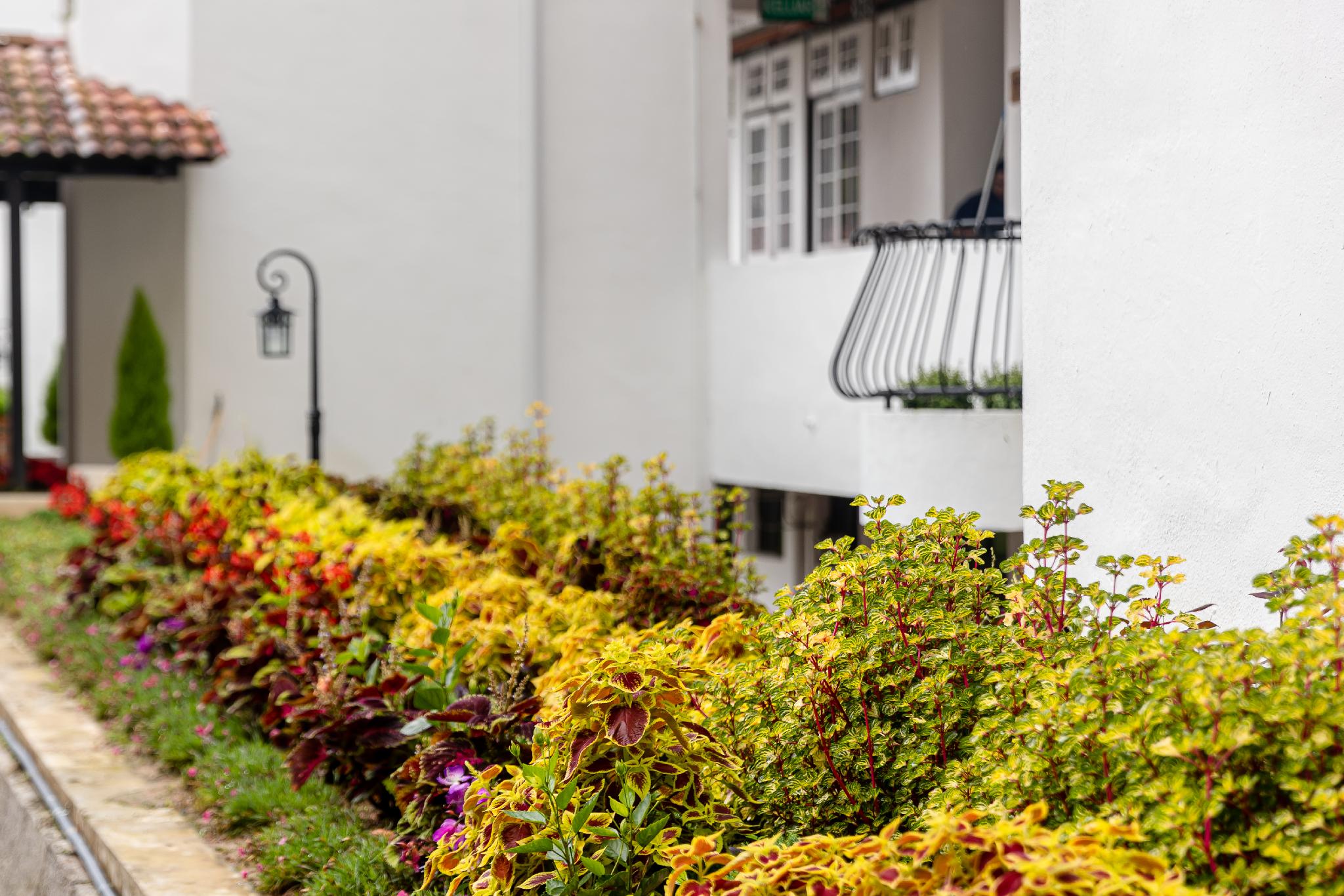 スプリングヒル リゾート 写真