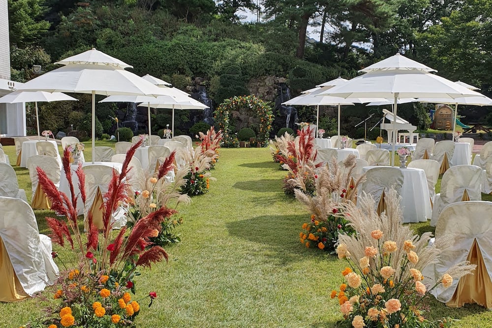 セジョン ホテル チュンチョン 写真