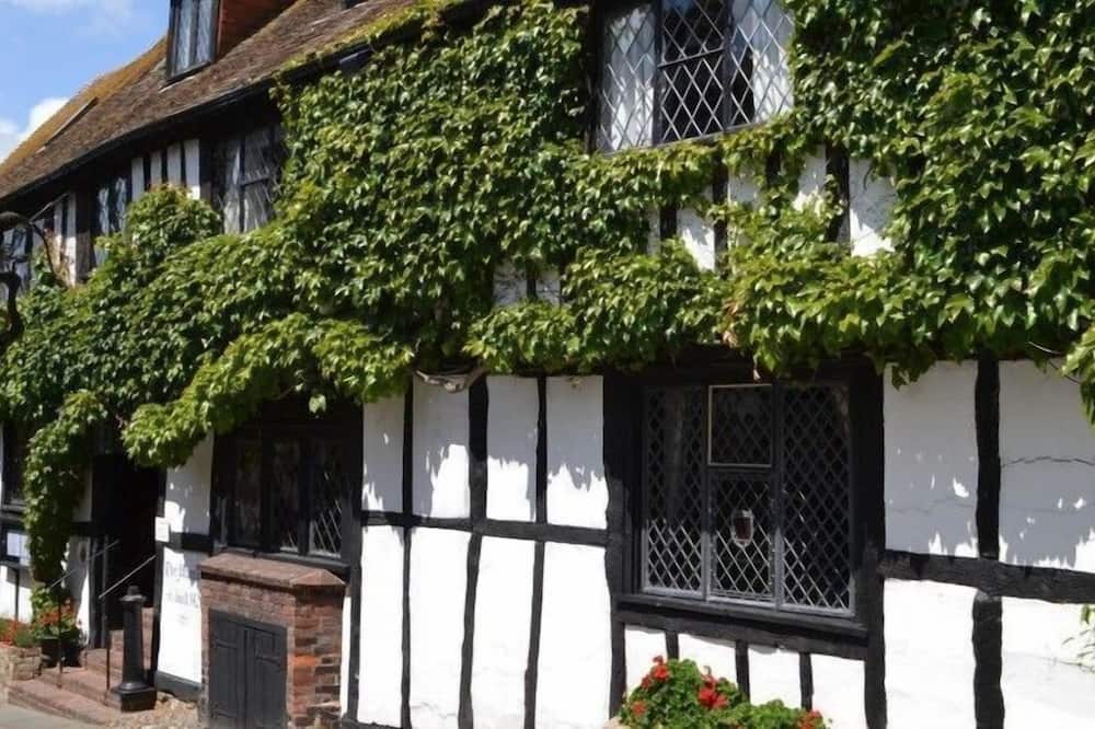 マーメイド イン 写真