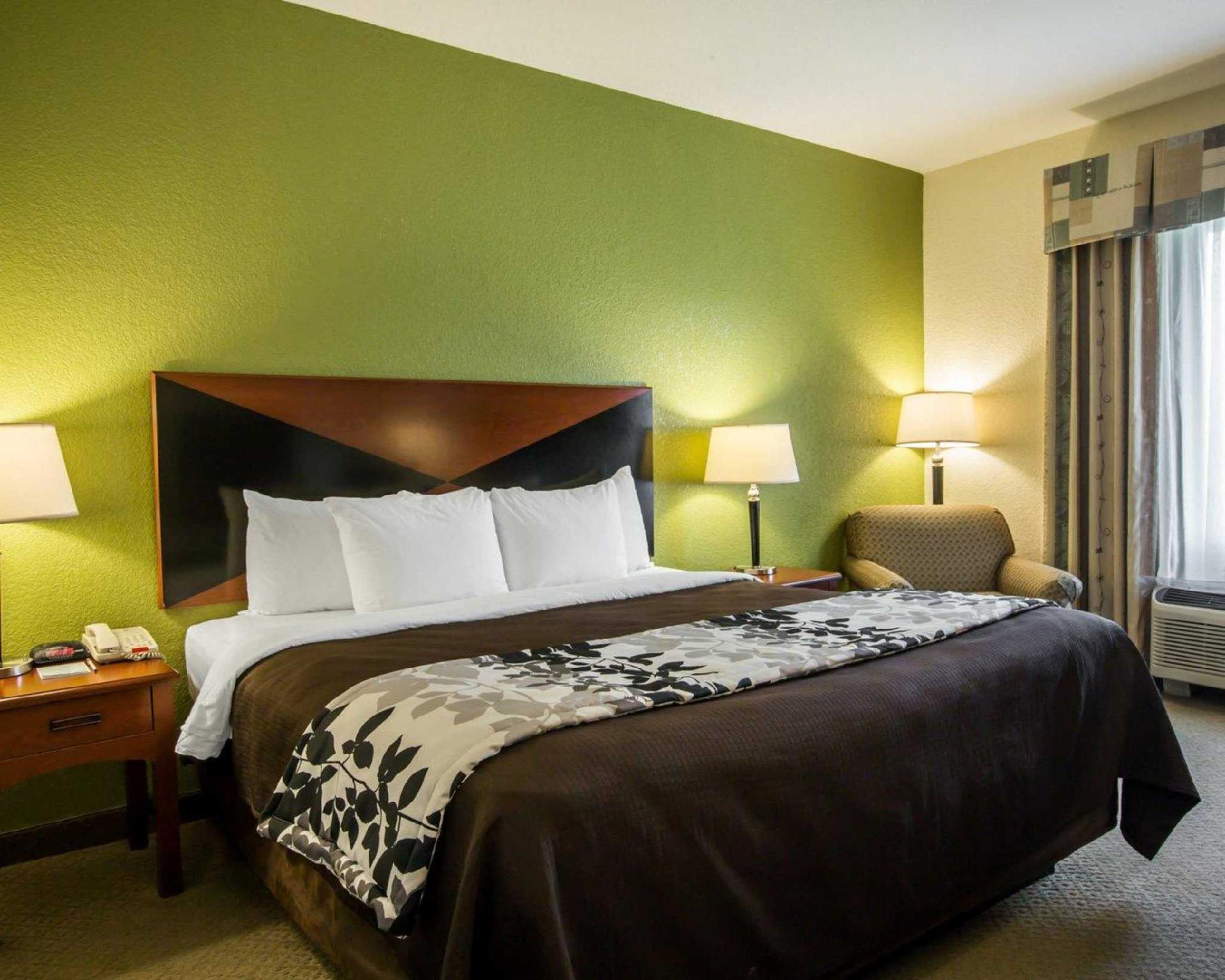 スリープ イン & スイーツ モンゴメリー イースト I-85 写真