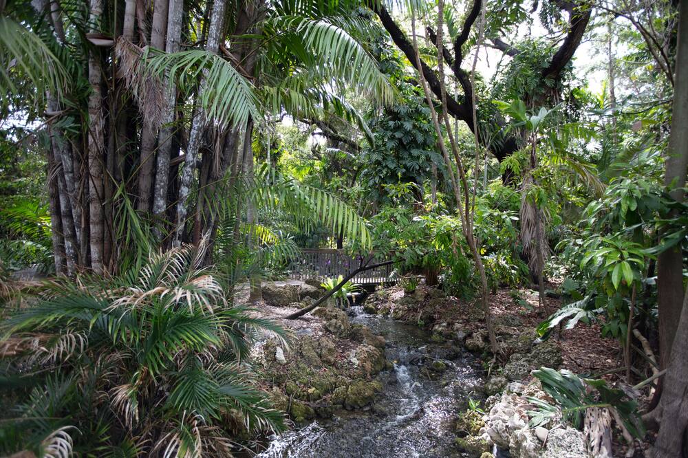 Hyatt Regency Coral Gables 写真
