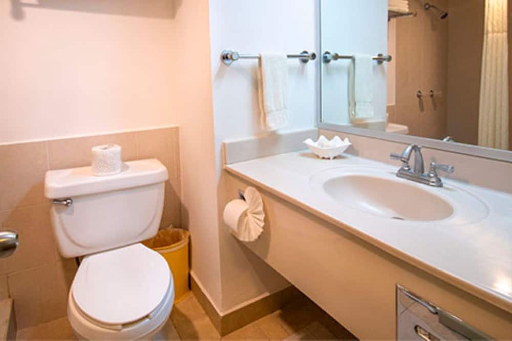 Araiza Palmira Hotel y Centro de Convenciones 写真