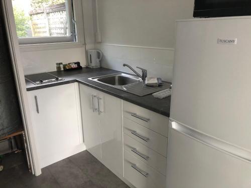 Ambassador Motor Inn 写真