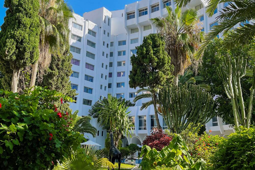 ケンジー ソラズール 写真