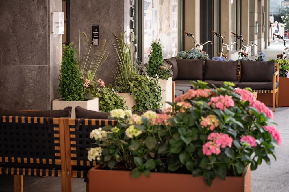 Hotel Baren am Bundesplatz 写真
