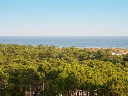 Monte Gordo Hotel Apartamentos & Spa 写真