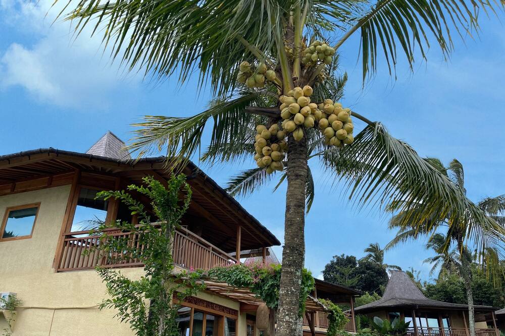 プリ ダジュマ テラス エコロッジ＆スパ 写真