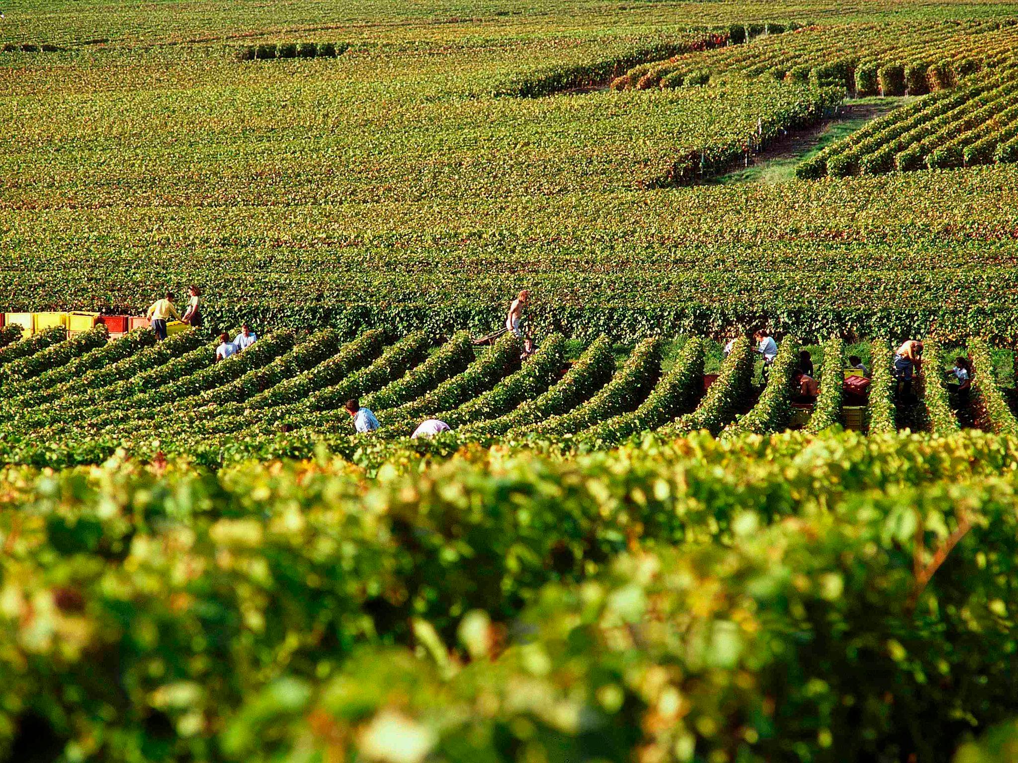 ノボテル スイート ランス サントル 写真