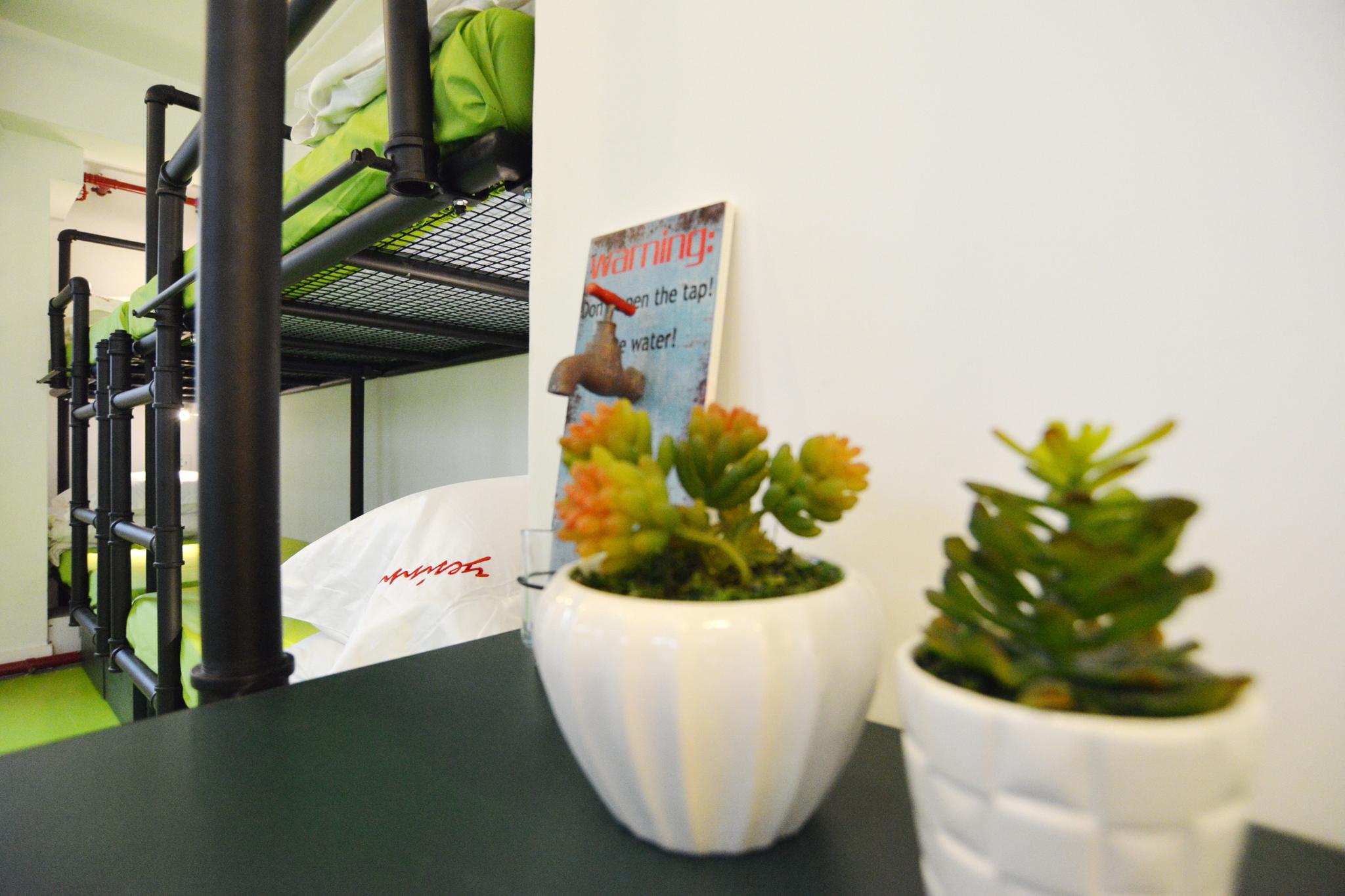 イエスイン アット YMT (〓思青年旅舍) 写真