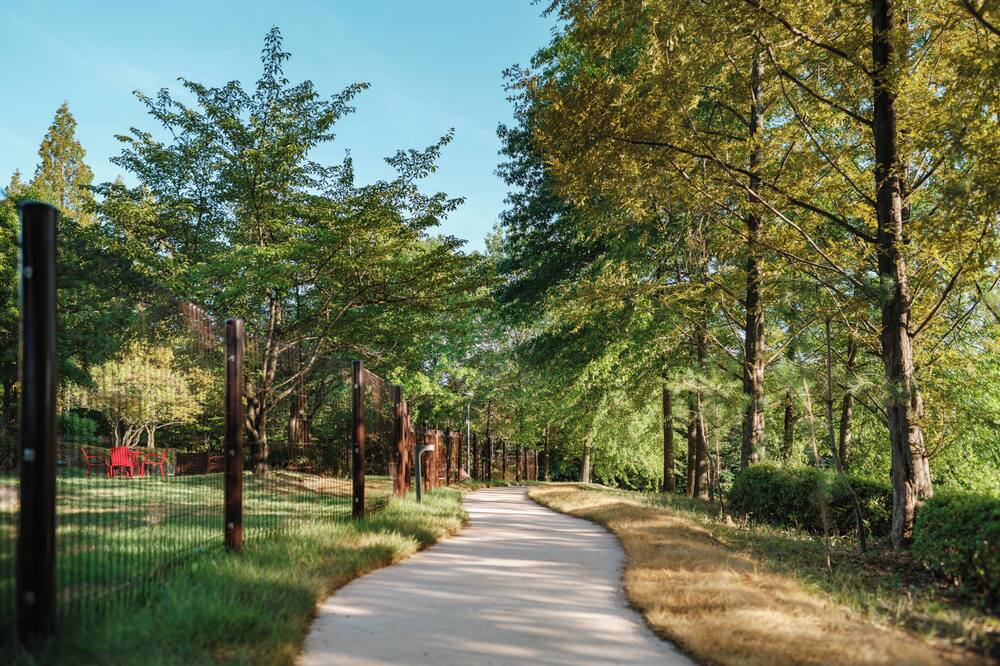 キノック ペット ホテル 写真