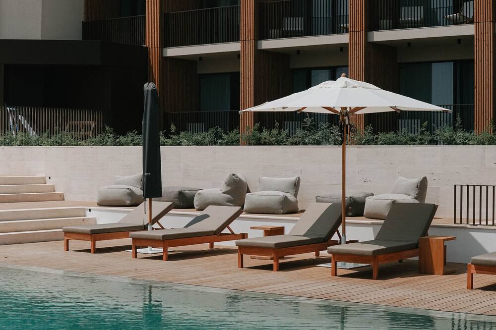 アエートス エリセイラ 写真