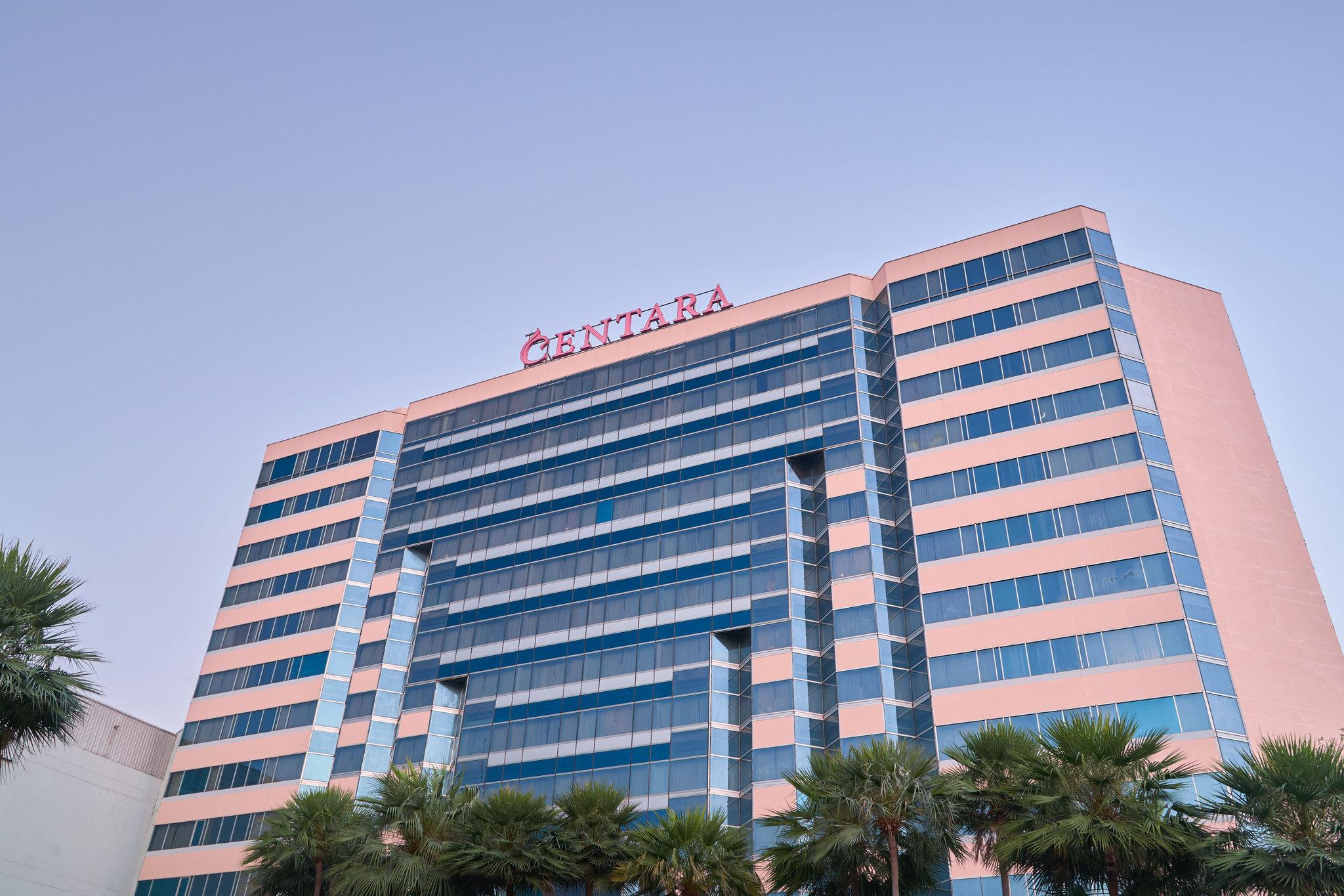 センタラ ウドン 写真