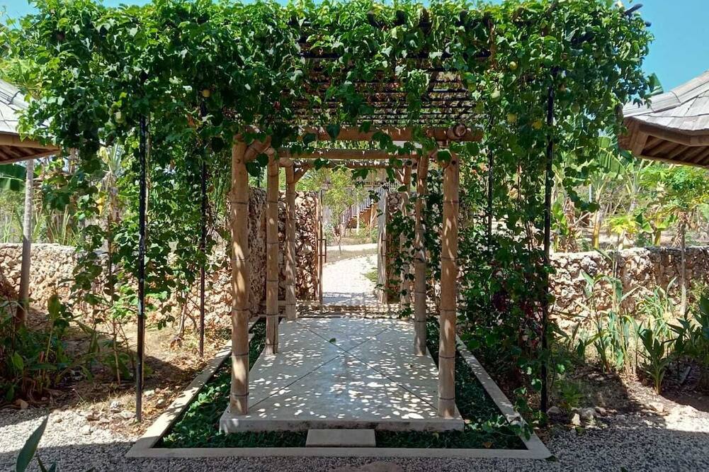 マリンギスンバ 写真