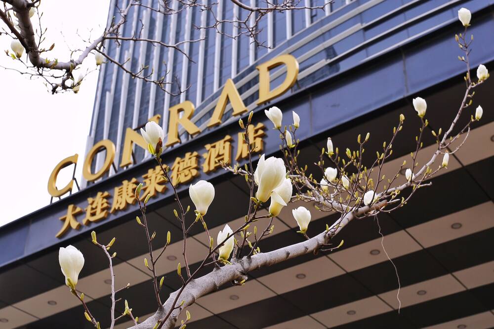 コンラッド ダリアン 写真