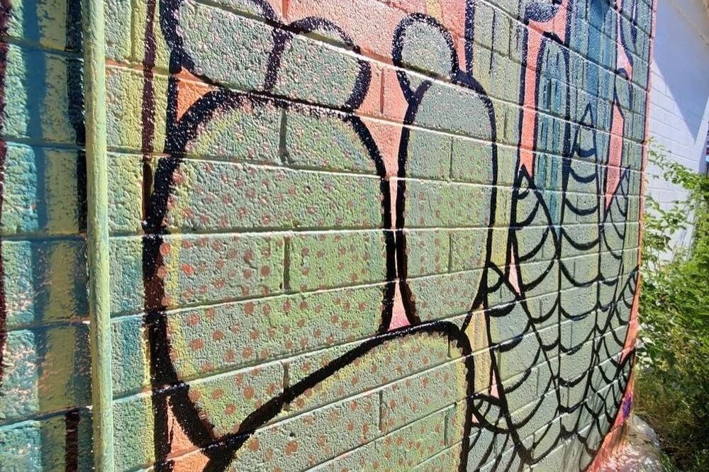 ザ ポストカード モーテル 写真