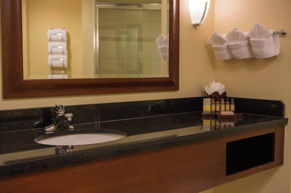 ボルティモア マリオット インナー ハーバー アット カムデン ヤーズ 写真